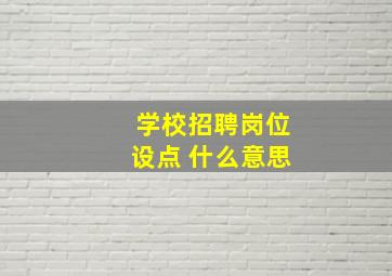 学校招聘岗位设点 什么意思